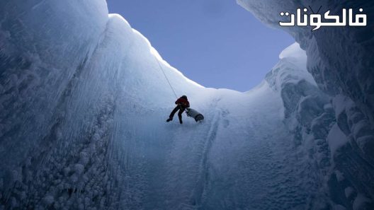 فيلم Into the Ice 2022 في الجليد موقع عرب ليونز