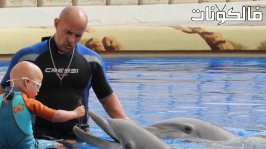 فيلم The Last Dolphin King 2022 ملك الدلافين الأخير موقع شاهد اون لاين