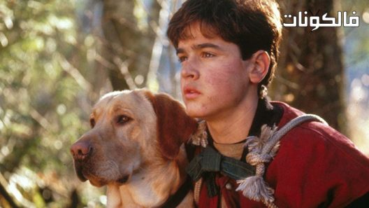 فيلم Far from Home: The Adventures of Yellow Dog 1995 بعيدًا عن المنزل: مغامرات يلو دوج موقع عرب سيد