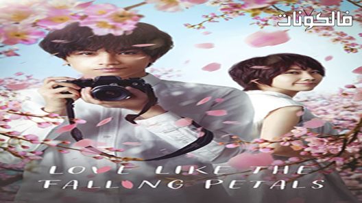 فيلم Love Like the Falling Petals 2022 الحب مثل سقوط البتلات موقع فشار
