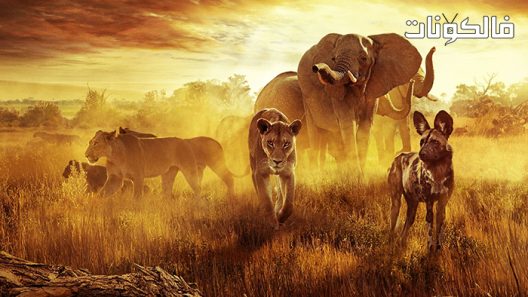 فيلم Surviving Paradise A Family Tale 2022 البقاء على قيد الحياة الجنة قصة عائلية موقع ماي سيما