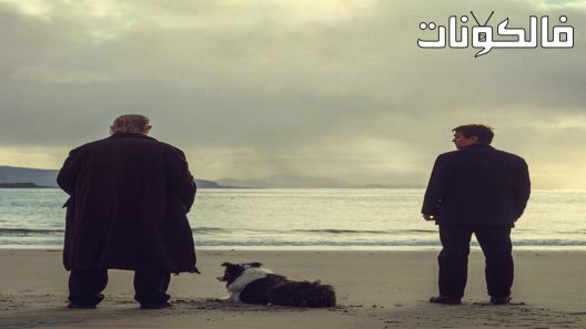 فيلم The Banshees of Inisherin 2022 حوريات أنشرين موقع موفيز فور يو