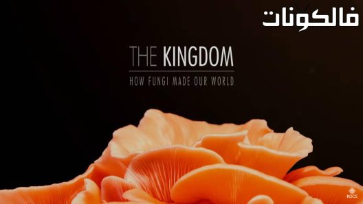 فيلم The Kingdom- How Fungi Made Our World 2018 الملكوت: كيف صنعت الفطريات عالمنا موقع السينما للجميع