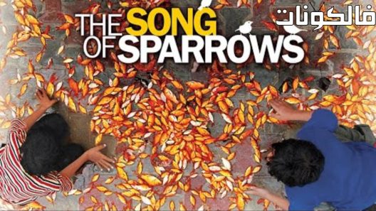 فيلم The Song Of Sparrows 2008 أغنية العصافير موقع فشار