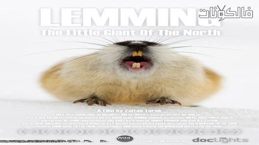 فيلم Lemming the little giant of the North 2017 ليمينغ: عملاق الشمال الصغير موقع اكوام