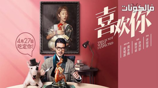 فيلم This Is Not What I Expected 2018 هذا ليس ما توقعته موقع فاصل اعلاني