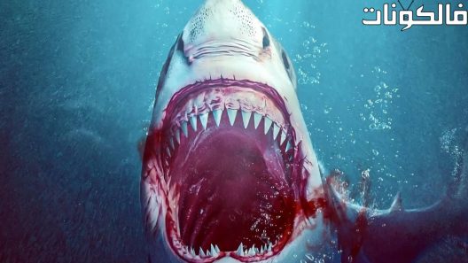 فيلم Bull Shark 2022 الثور القرش موقع اكوام
