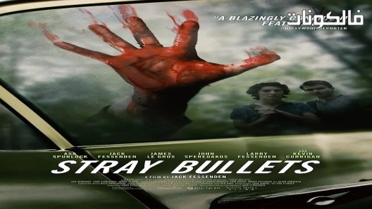 فيلم Stray Bullets 2016 رصاصات طائشة موقع اكوام